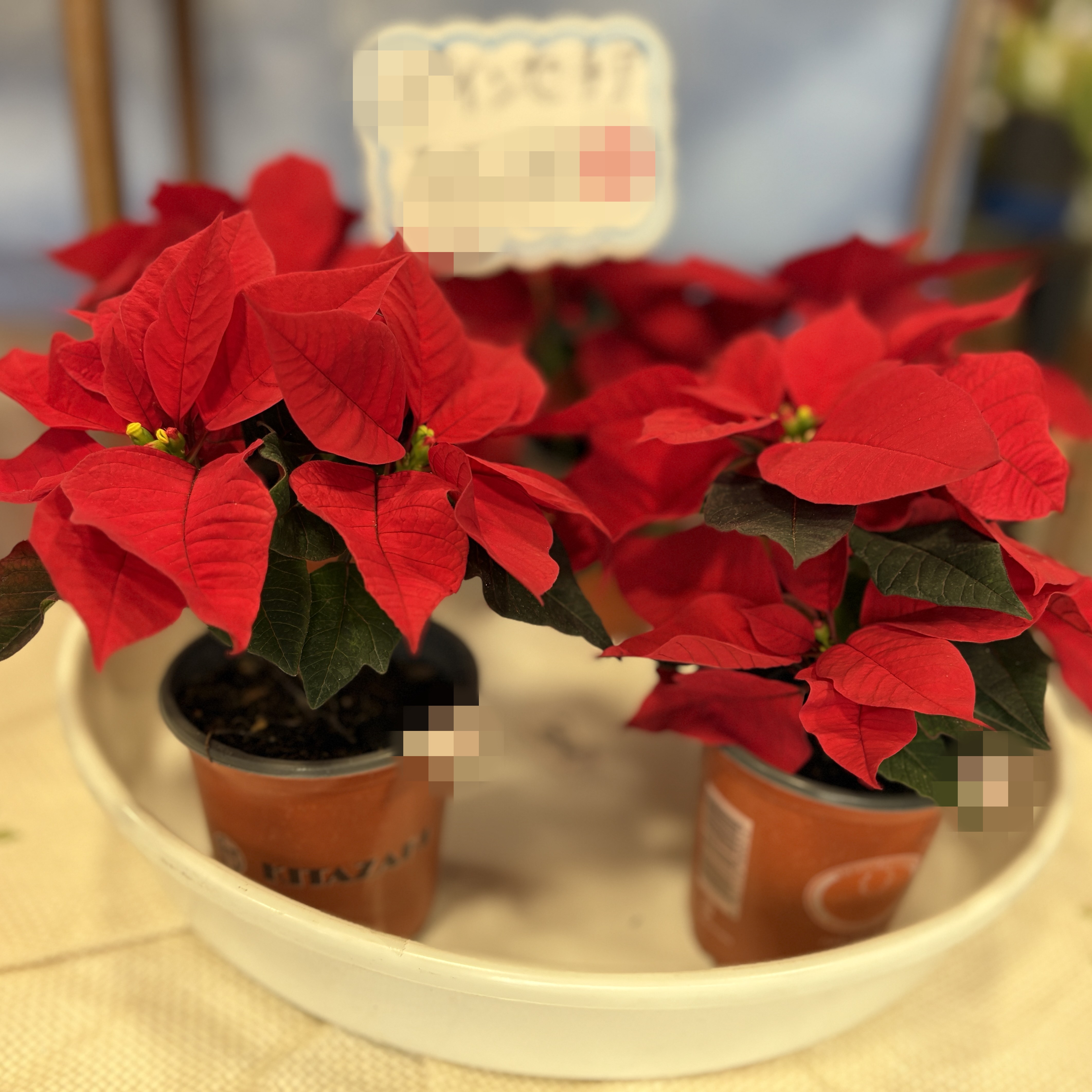 東京都中野区鷺宮6丁目28-23フラワーストアー和光園