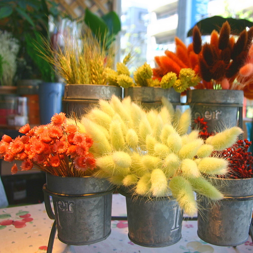 東京都中野区鷺宮6丁目28-23フラワーストアー和光園